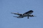 Dcim8983/DSC_2491