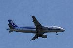 Dcim8984/DSC_2567