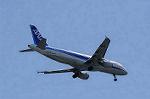 Dcim8984/DSC_2570