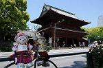 Dcim8988/DSC_2976