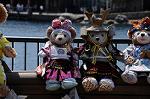 Dcim8989/DSC_3172