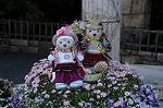 Dcim8990/DSC_3306