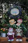 Dcim8990/DSC_3339