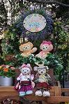 Dcim8991/DSC_3415