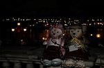 Dcim8992/DSC_3561