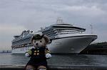 Dcim9000/DSC_4529