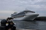 Dcim9000/DSC_4532