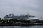 Dcim9000/DSC_4547