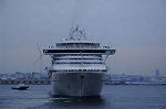 Dcim9002/DSC_4765