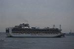 Dcim9003/DSC_4865