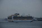 Dcim9003/DSC_4899