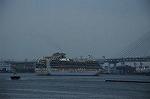 Dcim9003/DSC_4909