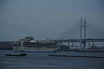 Dcim9003/DSC_4911