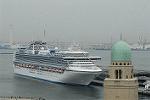 Dcim9004/DSC_2982