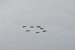 Dcim9004/DSC_3055