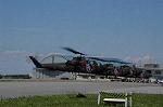 Dcim9008/DSC_5371