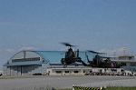 Dcim9008/DSC_5381