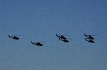 Dcim9009/DSC_5411
