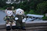 Dcim9014/DSC_6156