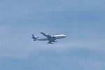 Dcim9019/DSC_3139