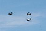Dcim9019/DSC_3172