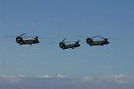 Dcim9019/DSC_3198