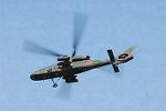 Dcim9019/DSC_3218