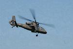 Dcim9019/DSC_3223