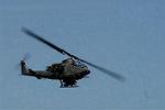 Dcim9021/DSC_3382