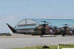 Dcim9021/DSC_3484