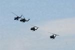 Dcim9022/DSC_3515