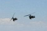 Dcim9022/DSC_3556