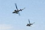 Dcim9022/DSC_3568