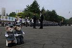 Dcim9026/DSC_6910
