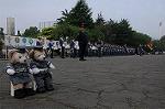 Dcim9026/DSC_6916
