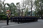 Dcim9026/DSC_6952