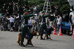 Dcim9031/DSC_7663