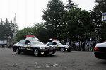Dcim9033/DSC_7963
