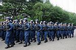 Dcim9033/DSC_7987