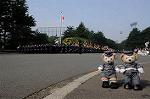 Dcim9033/DSC_8031