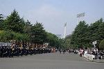 Dcim9033/DSC_8037