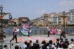 Dcim9034/DSC_8139