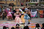 Dcim9035/DSC_8312