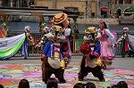 Dcim9035/DSC_8365