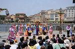 Dcim9036/DSC_8504