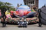 Dcim9037/DSC_8578