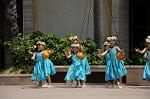 Dcim9052/DSC_0060