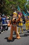 Dcim9053/DSC_0246