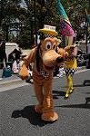 Dcim9053/DSC_0249