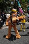 Dcim9053/DSC_0250